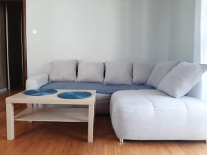 a living room with a couch and a table at Apartament Borkowo in Borkowo