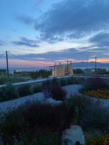 Φυσικό τοπίο κοντά σε αυτό το διαμέρισμα +13 φωτογραφίες