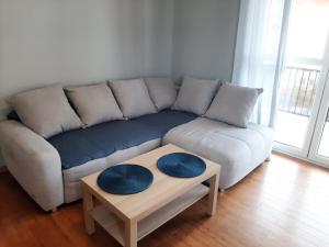 a living room with a couch and a coffee table at Apartament Borkowo in Borkowo