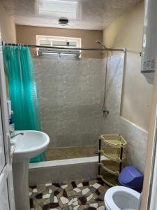 a bathroom with a shower and a sink and a toilet at Manoni Ratiani's Hostel in Soli