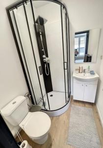 a bathroom with a shower and a toilet and a sink at Station 173 D Bruxelles-charleroi-airport in Charleroi