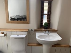 a bathroom with a sink and a toilet and a mirror at Swallows Barn in Penrith