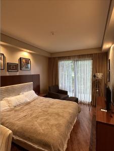 Habitación de hotel con cama grande y TV en Dreamland Oasis 1st floor Apartment With a Garden by the Sea, en Chakvi