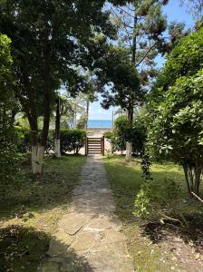 un camino que conduce a la playa con una puerta y árboles en Dreamland Oasis 1st floor Apartment With a Garden by the Sea, en Chakvi
