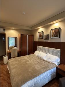 a bedroom with a large bed and a desk at Dreamland Oasis 1st floor Apartment With a Garden by the Sea in Chakvi