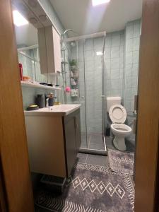 ein Bad mit einer Dusche, einem Waschbecken und einem WC in der Unterkunft Apartment 528 in Sarajevo