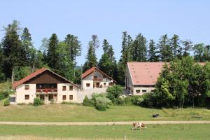 a cow grazing in a field in front of two buildings at Gîte l'essentiel in Arc-sous-Cicon