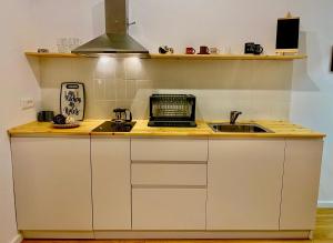 - un comptoir de cuisine avec évier et four micro-ondes dans l'établissement Lucas Central Oasis Studios, à Tirana