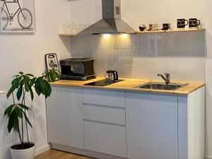 A kitchen or kitchenette at Lucas Central Oasis Studios