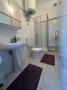 y baño con lavabo, aseo y ducha. en Pinezići apartman Niccole en Pinezici