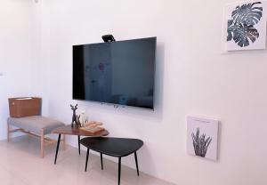 Televisor o centre d'entreteniment de Happy Fat B&B 寵物友善