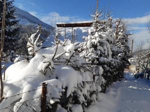 a bush covered in snow next to a fence at Cabana Bradut Borsa in Statjunea Borsa
