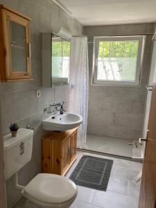ein Bad mit einem WC, einem Waschbecken und einer Dusche in der Unterkunft Ferienwohnung Haus am Bach in Toggenburg in Wildhaus