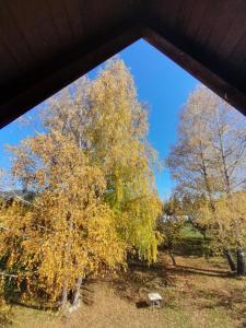 Zahrada ubytování Kremna Cottage