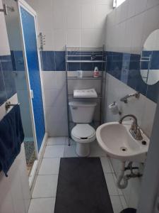 een kleine badkamer met een toilet en een wastafel bij Bonito depto con patio y oficina a 7 minutos caminando AICM in Mexico-Stad