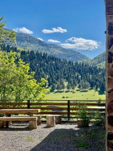 a picnic table with a view of a mountain at Likani-house's Cottage in Borjomi
