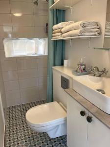 a bathroom with a toilet and a sink at Dejligt Tinyhouse i Gilleleje in Gilleleje
