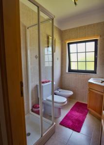 a bathroom with a toilet and a glass shower at Suite em Viana do Castelo in Viana do Castelo