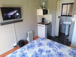 1 dormitorio con 1 cama y TV en la pared en The Private and Cosy Guest House 3 en Germiston