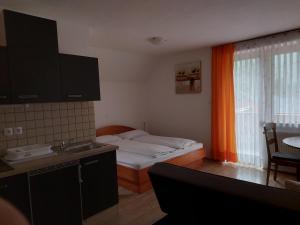 a room with a bed and a kitchen with a sink at Apartments and Rooms Martuljk in Kranjska Gora