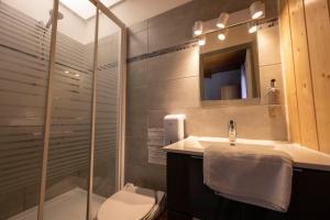 uma casa de banho com um WC, um lavatório e um chuveiro em Hôtel les Flocons em Le Sauze