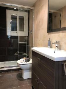 W łazience znajduje się toaleta, umywalka i prysznic. w obiekcie Apartamento cerca pista de esqui La Molina con piscina y Jardín w mieście La Molina
