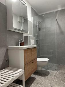 a bathroom with a sink and a toilet and a shower at Apartments TITO & ROBIN in Koper