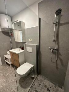 a bathroom with a shower with a toilet and a sink at Apartments TITO & ROBIN in Koper
