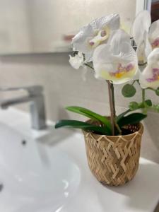 a flower in a basket on a bathroom sink at Precioso loft en Caión ROCHA, sobre la arena y el mar in Cayón +24 photos