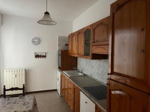 uma cozinha com armários de madeira e um lavatório em Ranco Lake Sunshine Apartment em Ranco
