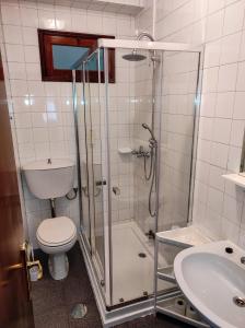 uma casa de banho com um chuveiro, um WC e um lavatório. em Alojamento Local Tamega em Amarante