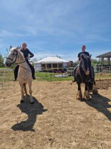 two people riding horses on a dirt field at Jurtarelax in Kozármisleny