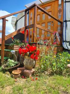 a garden with red flowers in a vase at Jurtarelax in Kozármisleny