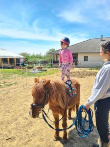 a little girl standing on top of a small pony at Jurtarelax in Kozármisleny