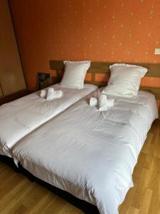 two beds sitting next to each other in a bedroom at Les Combes in Murat-le-Quaire