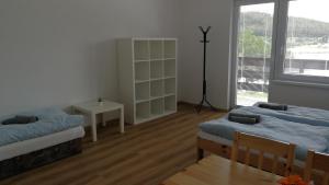 Postel nebo postele na pokoji v ubytování Apartmány Orlík - Loužek
