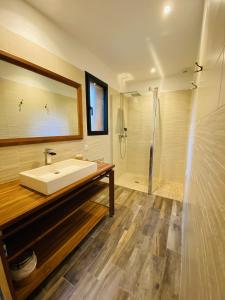 ビスカロッスにある150 IMPASSE DE BIGORREのバスルーム(シンク、シャワー付)