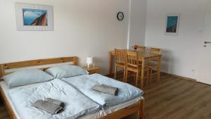Postel nebo postele na pokoji v ubytování Apartmány Orlík - Loužek