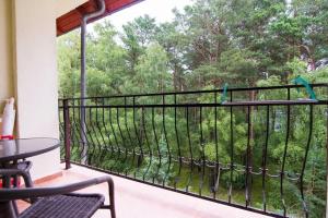 a balcony with a view of a forest at Blue Mare Apartamenty U Tomka in Łukęcin
