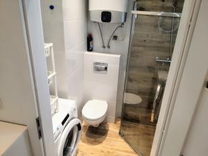 a small bathroom with a toilet and a shower at Blue Mare Apartamenty U Tomka in Łukęcin
