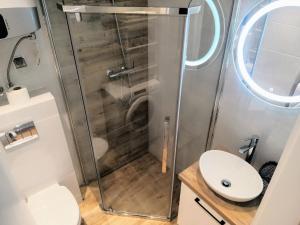 a shower in a bathroom with a toilet and a sink at Blue Mare Apartamenty U Tomka in Łukęcin