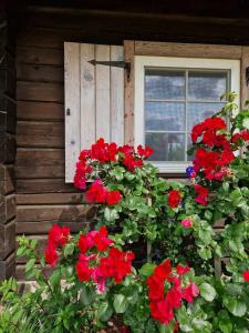 una finestra con fiori rossi sul lato di una casa di Anykščiai MĖNULIO AKMUO 