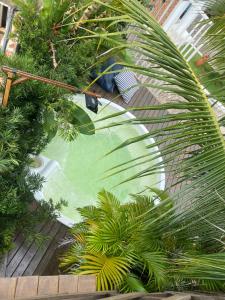 una vista aérea de una piscina con palmeras en Leão Beach Pousada, en Luís Correia