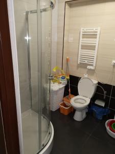 uma casa de banho com um chuveiro e um WC. em Mielno, Spokojna 2A - blisko plaży em Mielno