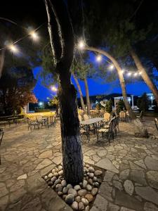 a tree in a courtyard with tables and chairs at night at Kriva Resort in Elbasan