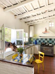 Andaluzia Casa Hotel في Villa Tulumba: مطبخ مع طاولة مع خيل يقفز من النافذة
