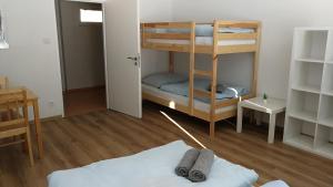 Postel nebo postele na pokoji v ubytování Apartmány Orlík - Loužek