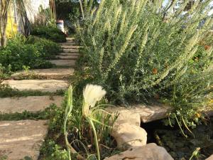 Vườn quanh Pleasant