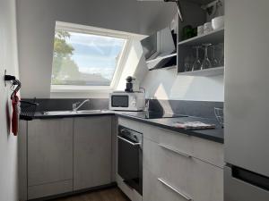 a small kitchen with a sink and a window at A l'ombre du figuier in Horbourg +10 photos