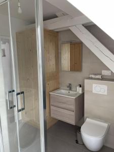 a bathroom with a toilet and a sink at A l'ombre du figuier in Horbourg